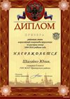 2009-2010 Шагайко 8л русский 